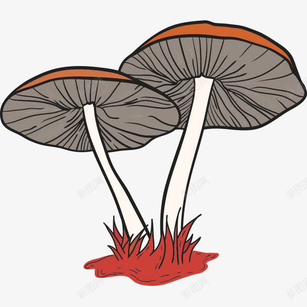 蘑菇菌类菇png免抠素材_新图网 https://ixintu.com 卡通 卡通蘑菇 红色 菇 菌子 菌类 蘑菇