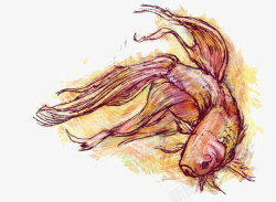创意金鱼水彩画素材