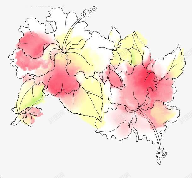 手绘大花朵png免抠素材_新图网 https://ixintu.com 两朵花 彩色的花 手绘 装饰画