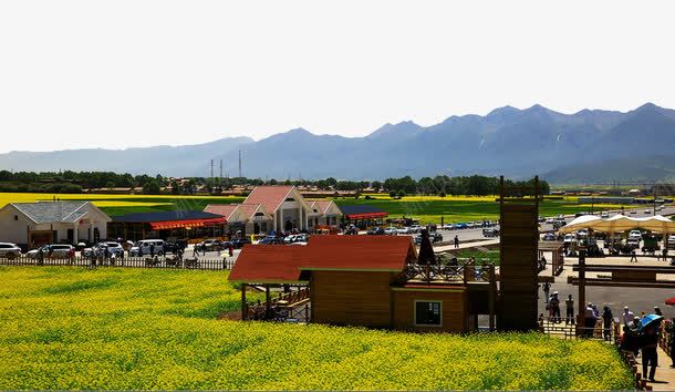 青海油菜花海美景png免抠素材_新图网 https://ixintu.com 名胜古迹 图库 地方景点 实物图 摄影图片 油菜花 青海旅游 风景名胜 高清图片