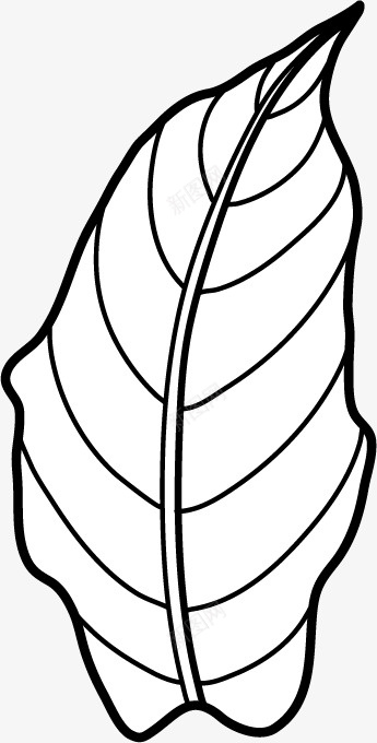 手绘线条树叶叶子图标png_新图网 https://ixintu.com 叶子 手绘 手绘线条树叶叶子 树叶 线条 黑色