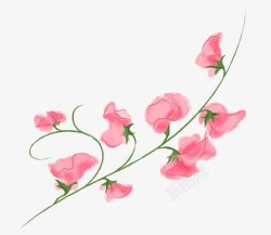 粉色的花素材