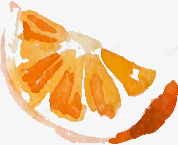 手绘水彩水果橘子瓣png免抠素材_新图网 https://ixintu.com 手绘 橘子瓣 水彩 水果 维生素 营养