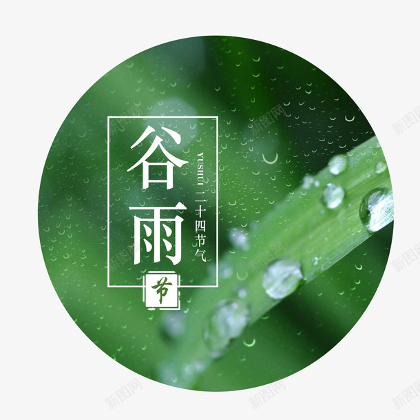 谷雨创意圆形psd免抠素材_新图网 https://ixintu.com 下雨 创意 圆形 绿色 谷雨 谷雨创意设计