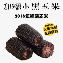 忻州黑糯玉米素材