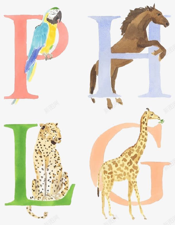 卡通英文字母和动物png免抠素材_新图网 https://ixintu.com 英文字母 豹子 长颈鹿 鹦鹉