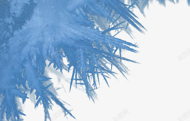 蓝色结晶png免抠素材_新图网 https://ixintu.com 冬季素材 冰 结晶 蓝色