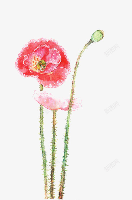 春天花朵4png免抠素材_新图网 https://ixintu.com 彩色 手绘 春天 花朵