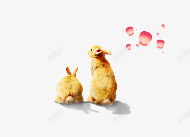 可爱兔子装饰手绘png免抠素材_新图网 https://ixintu.com 中秋 中秋节 兔子 动物 可爱 孔明灯 装饰