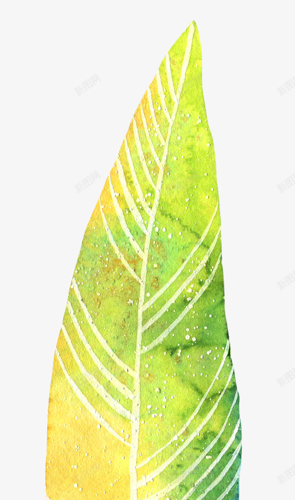 一片黄绿相间的新鲜树叶png免抠素材_新图网 https://ixintu.com 创意 卡通手绘 树叶 紫色 纹理 黄绿相间
