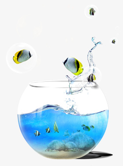 创意水缸水缸中的鱼背景高清图片