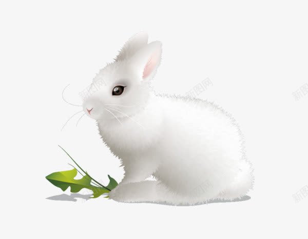 可爱的大白兔png免抠素材_新图网 https://ixintu.com 可爱 树叶 白兔 雪绒
