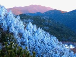 九仙山风景区冬季九仙山风景区高清图片