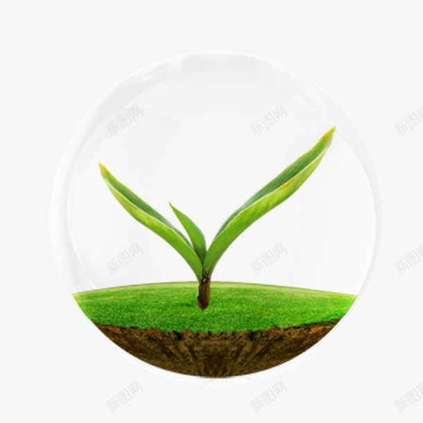嫩芽png免抠素材_新图网 https://ixintu.com 嫩芽 环保 绿色植物