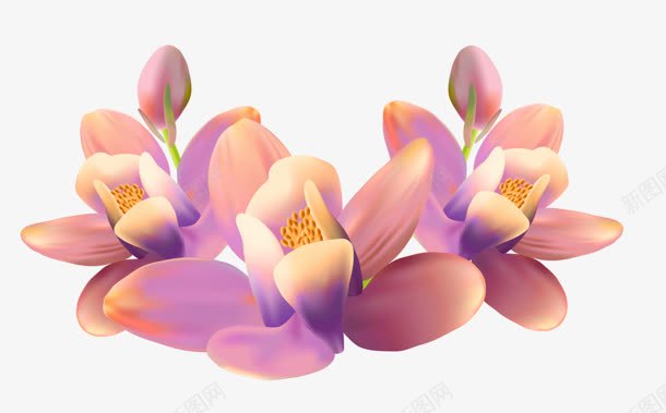 粉色紫色艺术花朵png免抠素材_新图网 https://ixintu.com 粉色 紫色 艺术 花朵