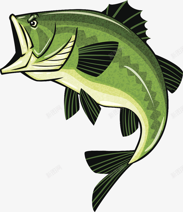 凶悍的鱼png免抠素材_新图网 https://ixintu.com 凶悍 动物 卡通 彩绘 彩绘插画 插画 绿色的鱼 跃起 跃起的鱼 鱼 鱼类