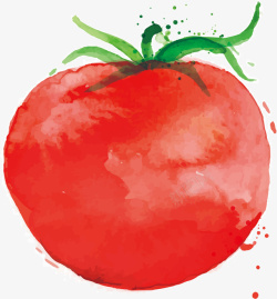 手绘番茄矢量图素材