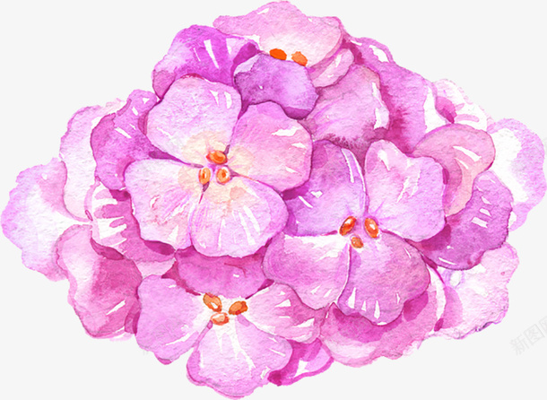紫色水彩花朵png免抠素材_新图网 https://ixintu.com 创意 插画 水墨元素 紫色 艺术