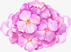 紫色水彩花朵素材