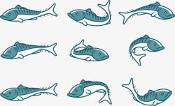 各种姿态的鱼食人鱼高清图片