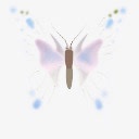 花丛仙子蝴蝶图标花丛仙子蝴蝶图标高清图片