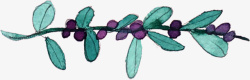 紫色小果手绘绿色树枝藤条高清图片