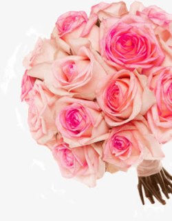 粉色浪漫玫瑰花束素材