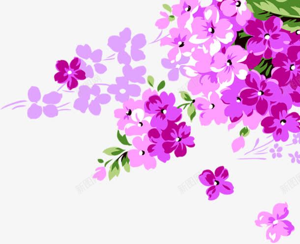 淡紫色的小花蕾苏次啊png免抠素材_新图网 https://ixintu.com 紫色 花蕾