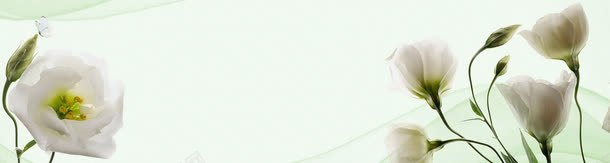 全屏背景banner纯背景轮播png免抠素材_新图网 https://ixintu.com banner banner纯背景轮播 全屏背景 淘宝 背景