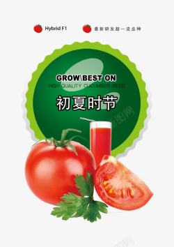 种子包装设计番茄包装psd高清图片