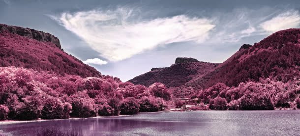 姹紫嫣红河水清澈背景