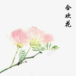 合欢花手绘素材