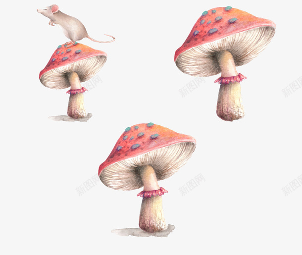 手绘蘑菇png免抠素材_新图网 https://ixintu.com 手绘 水彩绘 老鼠 蘑菇