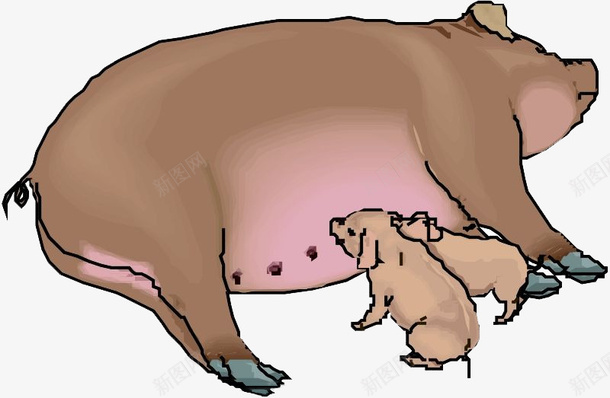 手绘吃奶的猪png免抠素材_新图网 https://ixintu.com 吃奶的猪 手绘 手绘画 猪