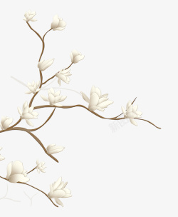中国风古典复古白色花朵素材