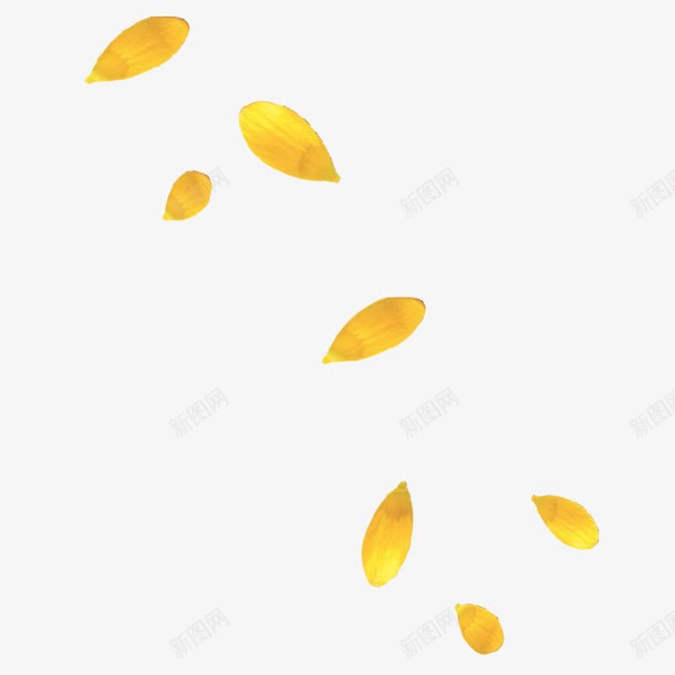 落下的花瓣png免抠素材_新图网 https://ixintu.com 植物 花瓣 黄色