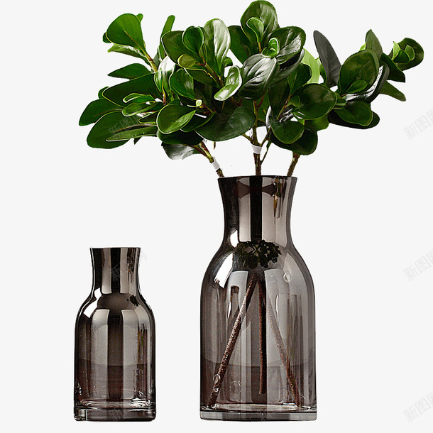 花瓶里面的绿色植物png免抠素材_新图网 https://ixintu.com 卡通植物 手绘植物 植物 绿色植物 绿色环保 花瓶