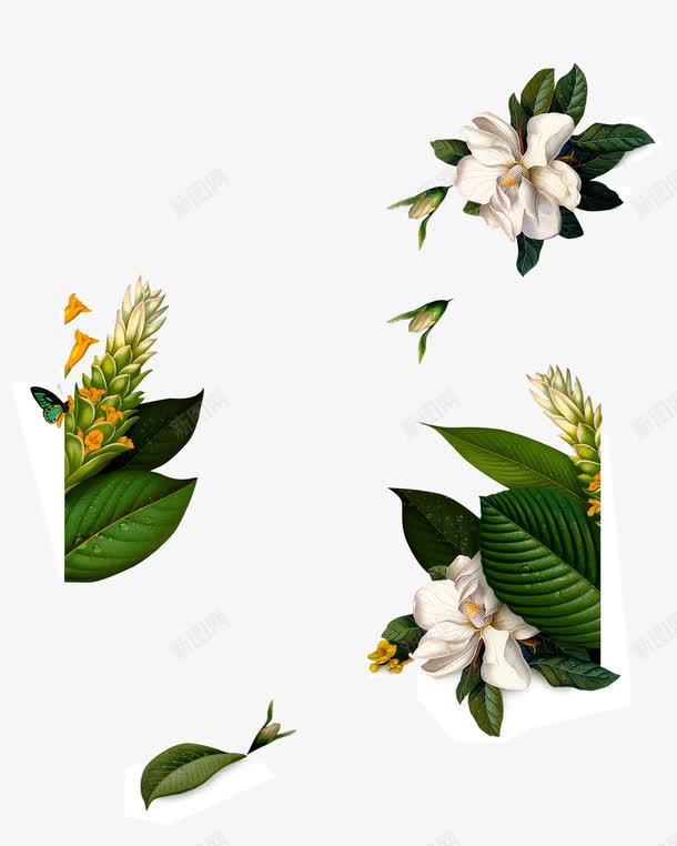 唯美海报植物花朵树叶png免抠素材_新图网 https://ixintu.com 树叶 植物 海报 花朵