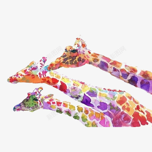 手绘水彩绘画彩色动物长颈鹿png免抠素材_新图网 https://ixintu.com 动物 彩色 手绘 水彩 绘画 长颈鹿