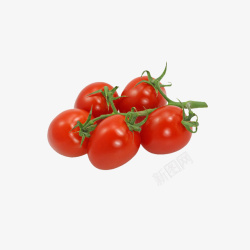 熟的西红柿一串西红色高清图片