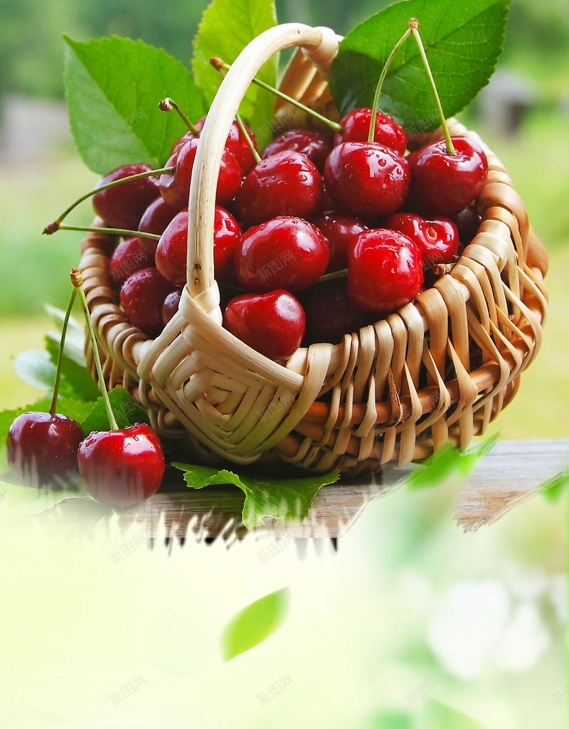 简洁夏日樱桃水果宣传海报psd设计背景_新图网 https://ixintu.com 健康 夏日 宣传 宣传海报 小清新海报 手绘 排版 樱桃 樱桃图片 樱桃批发 水果 水果促销 海报 甜品 甜点 简洁海报 绿叶 绿色水果 美食