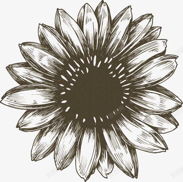 抽象花朵创意花卉png免抠素材_新图网 https://ixintu.com 卡通鲜花图片 背景元素 花朵素材 鲜花相框素材 鲜花花卉