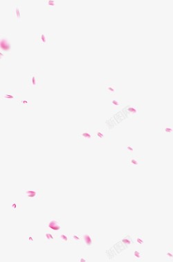风中飞舞的粉色花朵素材