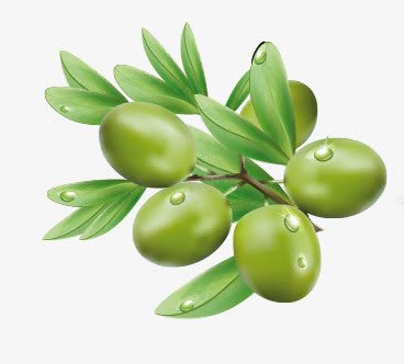 绿橄榄装饰png免抠素材_新图网 https://ixintu.com 水果 绿橄榄 食材 食物