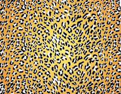 时尚豹纹黄色豹纹图案高清图片