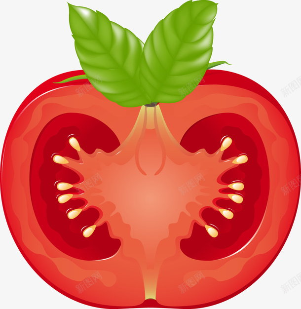 西红柿叶子档矢量图ai免抠素材_新图网 https://ixintu.com 水果 番茄 蔬菜 西红柿 矢量图
