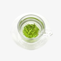 碧绿色冲泡的贡茶高清图片