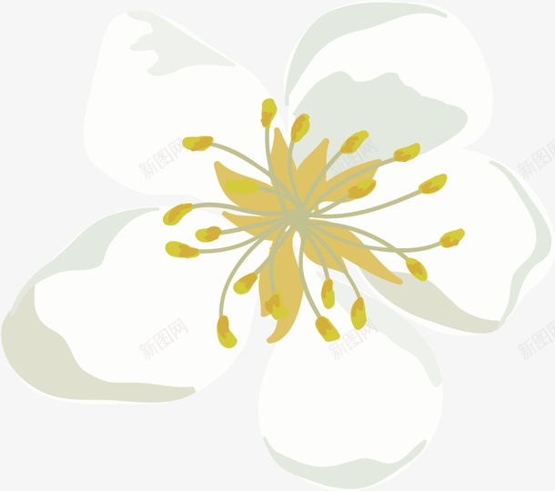 手绘白色花朵png免抠素材_新图网 https://ixintu.com 唯美 小清新 手绘 水彩 白色 花朵 花瓣 花蕾