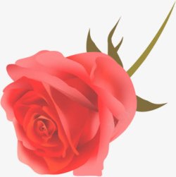 玫瑰花图片手绘单支玫瑰花朵艺术高清图片
