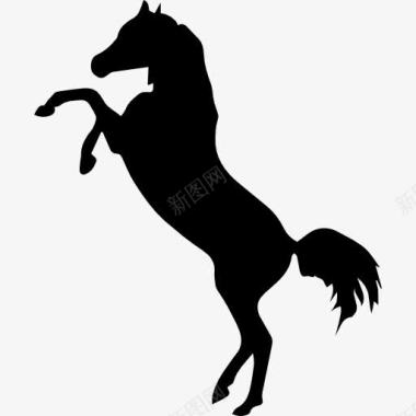 马站在两个后爪黑色侧面剪影图标图标